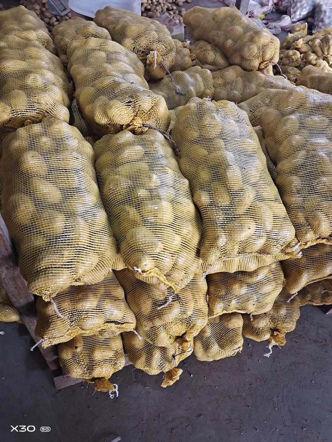 Chinese New Crop Selected Super Fresh Potato