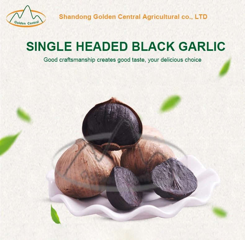 High Quality Black Garlic Whole Black Garlic Wholesales