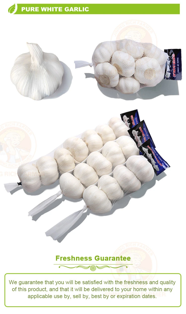 2022 New Crop Top Quality 4.5cm, 5.0cm, 5.5cm, 6.0cm Chinese White Fresh Garlic From Jining Rich Farmer