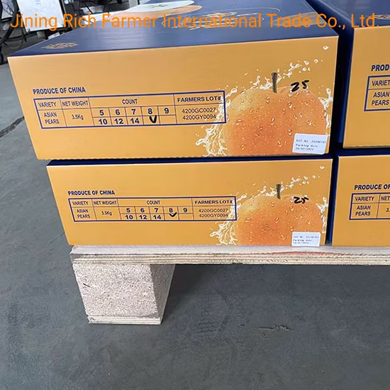 2021 New Season Big Sweet Fresh Crown Pear