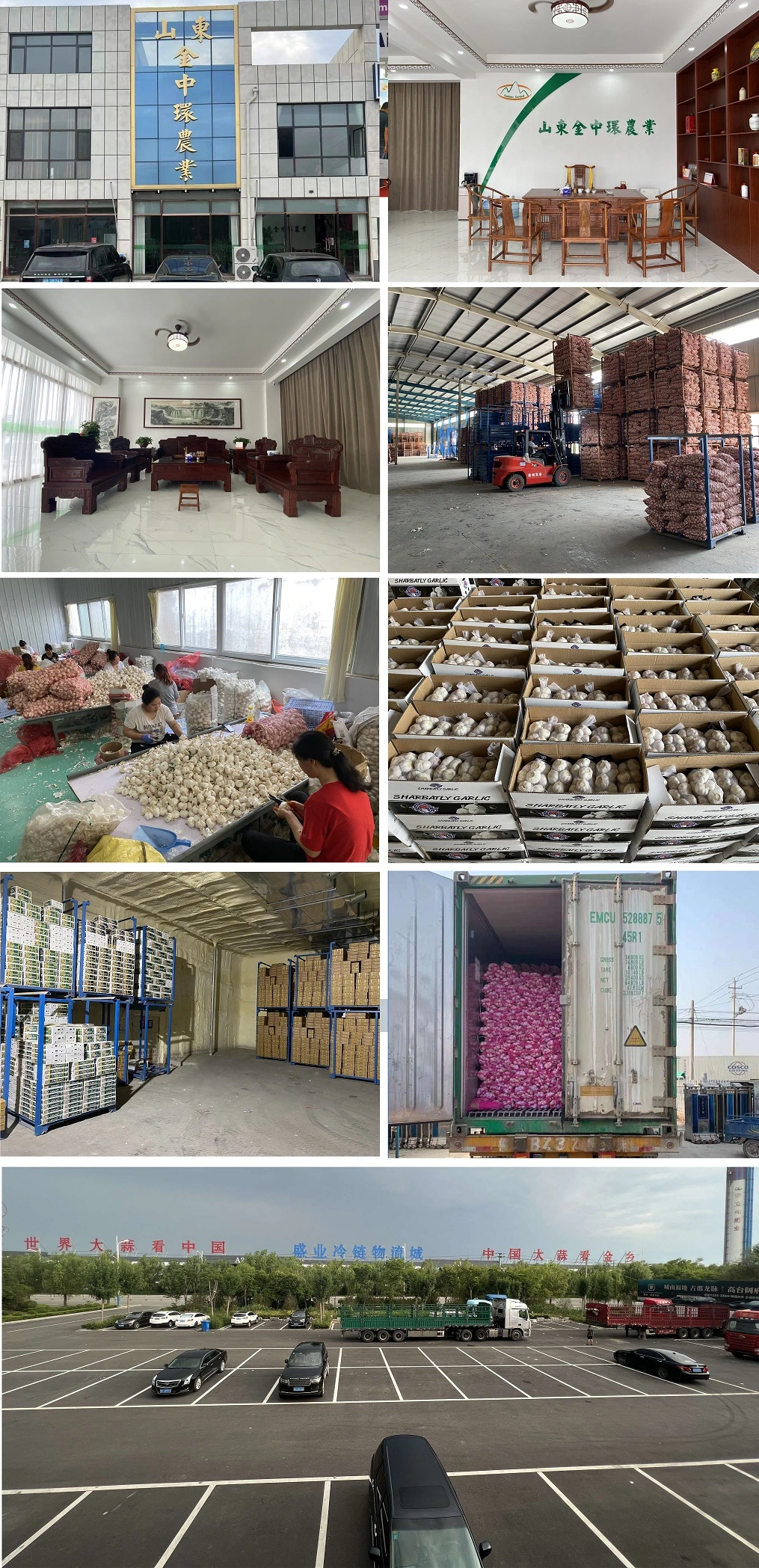 China Factory Supply Super White Garlic Purple Garlic 45mm-70mm Ajo Ail