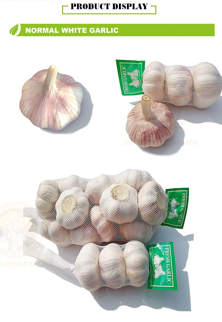 2022 New Crop Top Quality 4.5cm, 5.0cm, 5.5cm, 6.0cm Chinese White Fresh Garlic From Jining Rich Farmer