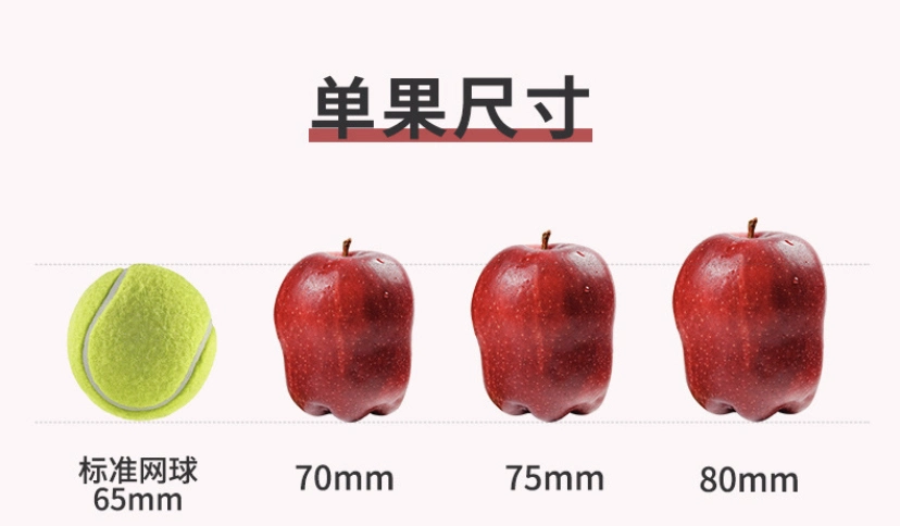Shanxi Qinguan Apple FUJI Apple High Quality Fresh Apple Gala Apple Factory Price with Certification Hot Sale