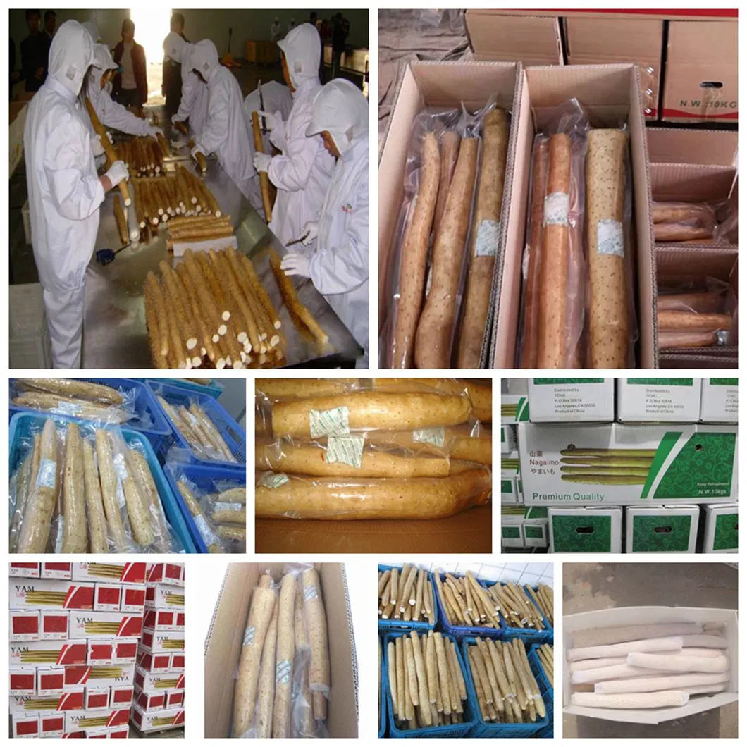 Factory and Exporter of IQF Frozen Cleaned Yam