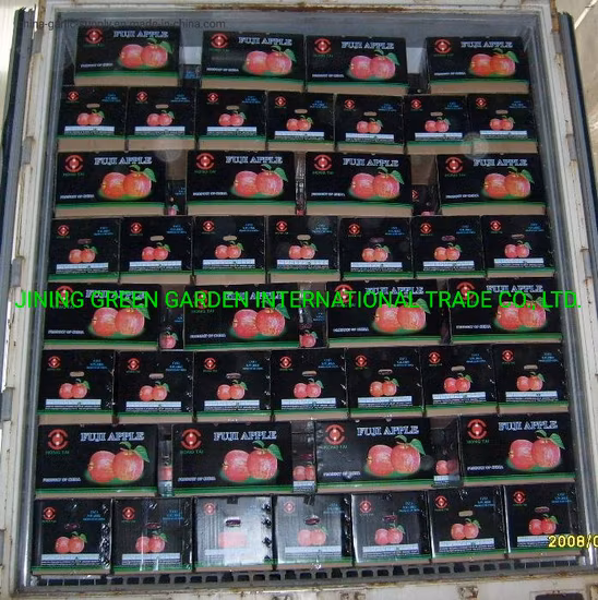 Red Delicious FUJI Apple 2021 Fresh Apple