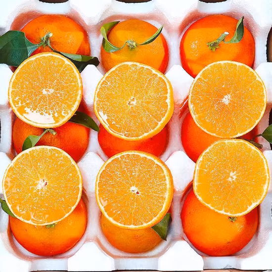 Sell Best Fresh Navel Orange Suppliers Organic