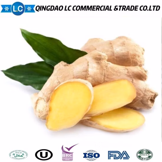 Top Quality Frozen Peeled Ginger with Good Price