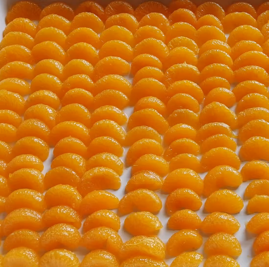 New Crop Ad Mandarin Orange, Best Quality