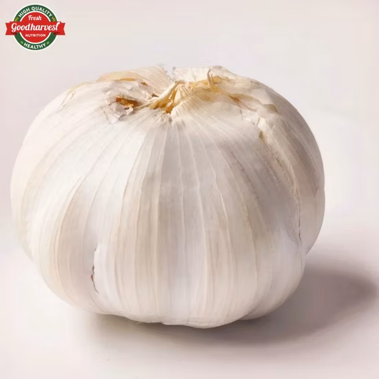 Wholesale Cheap Price Chinese Fermented Organic Single Head Black Garlic