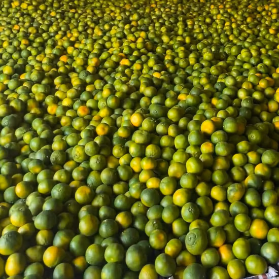 Dried Fruit, Health Fruit, Mandarin Orange, Low So2