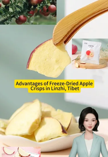 100% Natural Fd Apples /Dry Apple, Delicious Snack Fruit