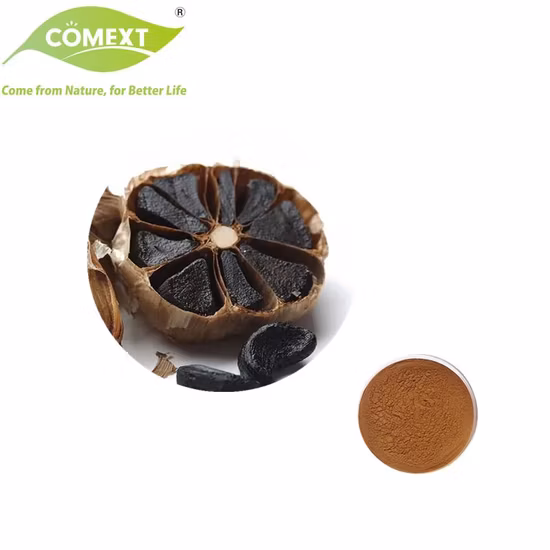Ground Black Garlic Black Garlic Powder
