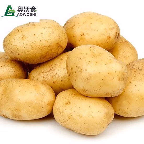 Selling Fresh Potato Export Potato with Good Quality