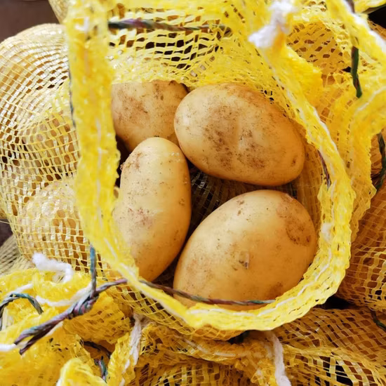 Chinese New Crop Selected Super Fresh Potato