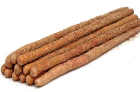 High Quality New Crop Fresh Chinese Yam for Sale Fresh Yam